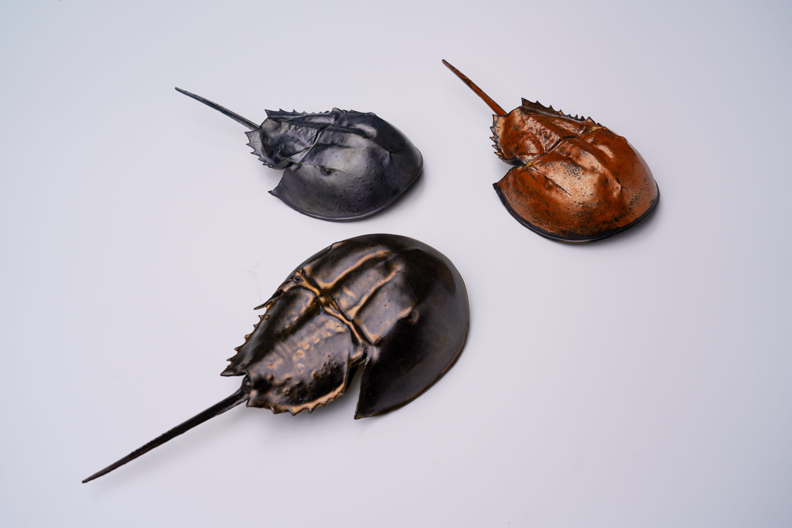 Merrymeeting Clay handmade ceramics inspired by the coast of Maine